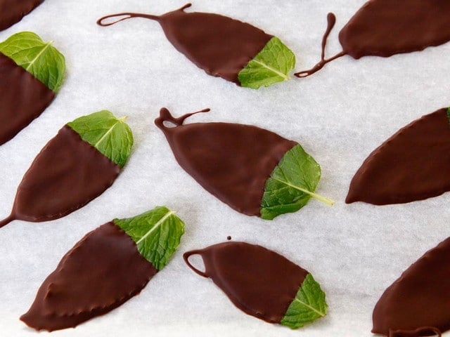 Dark Chocolate Mint Leaves