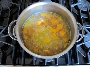 Seasoning stirred into simmering soup.