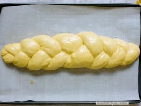 Overhead shot of braided challah dough with shiny egg wash on parchment-lined baking sheet.