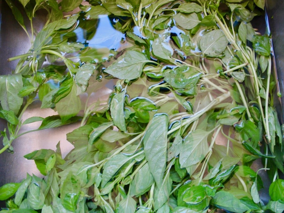 Vertical shot of fresh basil leaves floating in water.