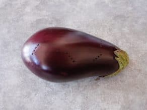 Fresh eggplant pierced with fork on concrete background.