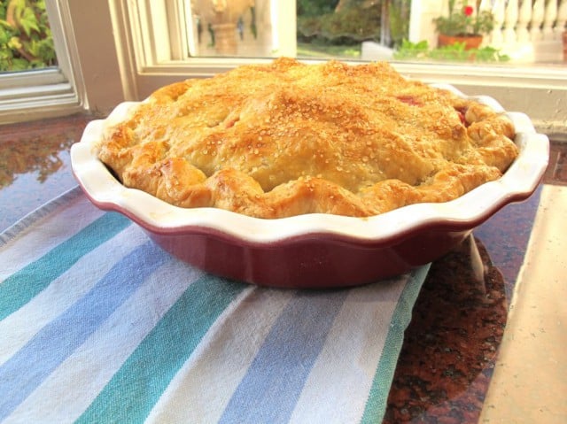 Old Fashioned All-Butter Pie Crust - How to make an old fashioned all butter pie crust from scratch. Instructions for chilling dough, rolling out crust, fluting, and scalloping.