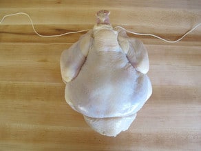 Whole chicken breast down back up, trussing strings wrapped up around neck, pulled tight.