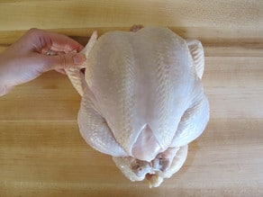 Trussed chicken, hand tucking wings behind back.