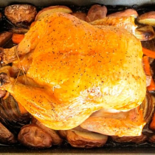 Trussed roast chicken in roasting pan with potatoes and carrots.