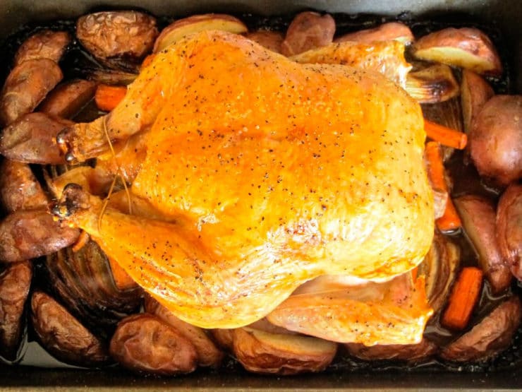 Trussed roast chicken in roasting pan with potatoes and carrots.