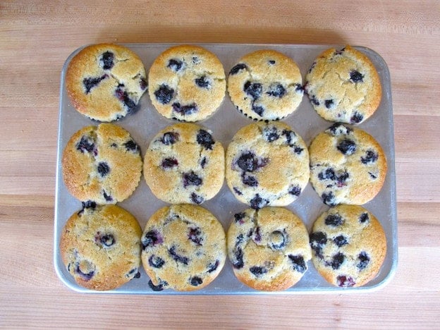 Baked blueberry muffins in a muffin tin.