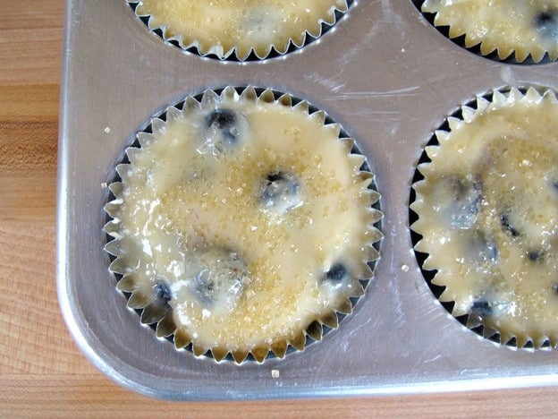 Add blueberries to the top of batter in muffin tin.