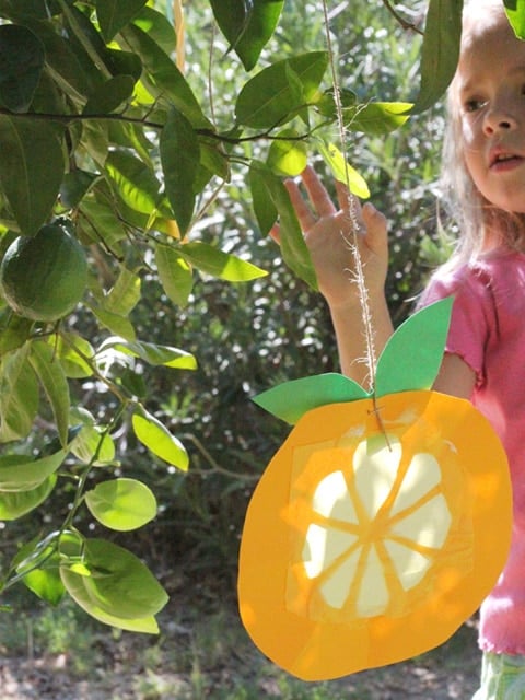 Citron Sun Catchers for Sukkot - Jewish Holiday Craft