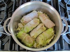 Layer of cabbage rolls in a pot.