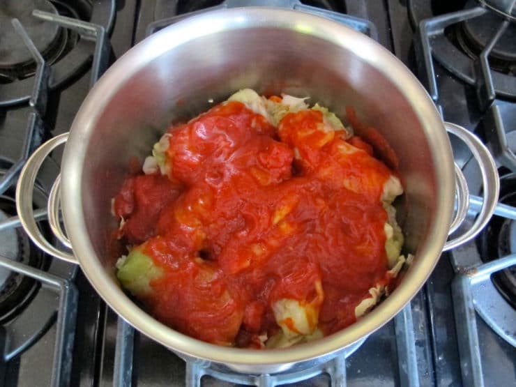 Tomato sauce on top of cabbage rolls.