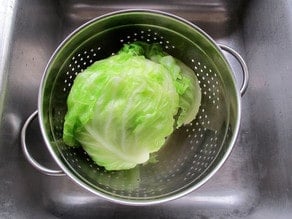 Head of cabbage draining.
