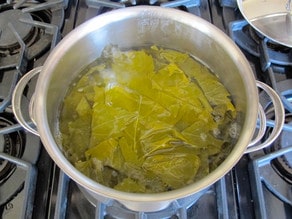 Boiling grape leaves in a stockpot to soften.