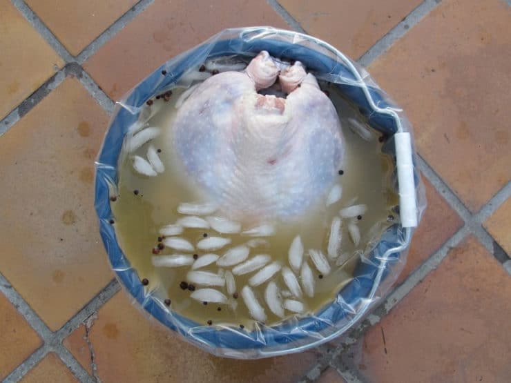 Thawed turkey submerged in brining solution, breast down.