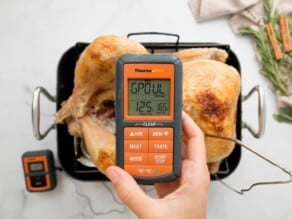 Overhead shot of a thermometer taking the temperature of a roasted turkey.