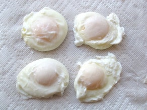 Four poached eggs on paper towel.
