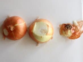 Yellow onion sliced in half on white cutting board, root end removed.