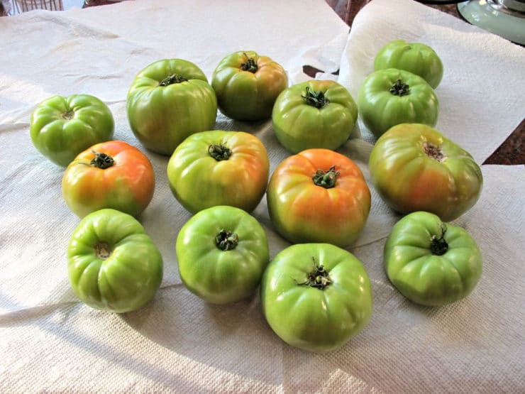 Southern Delights: Crispy Fried Green Tomatoes by Tori Avey