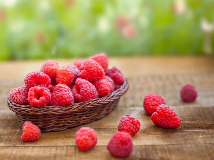 Anne of Green Gables Raspberry Cordial - Literary Recipe