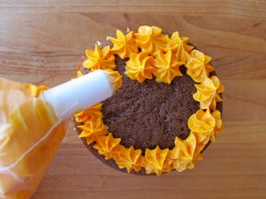 Decorating cupcakes with a star tip.