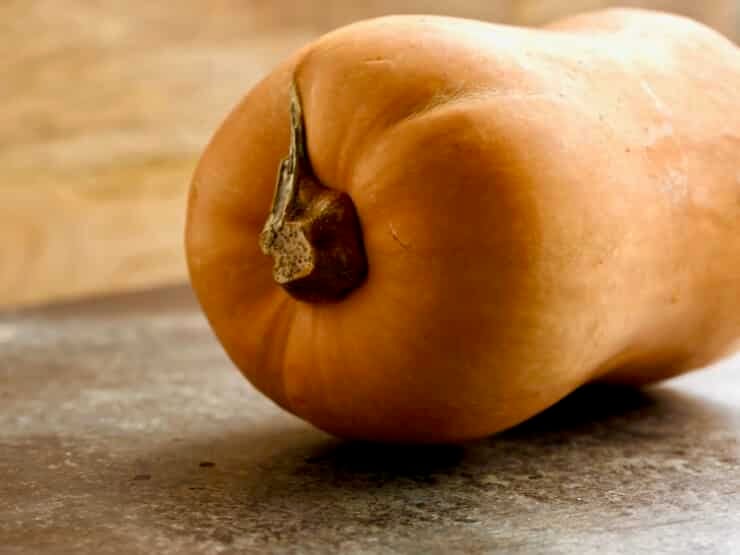Close up shot of a whole raw butternut squash laying on a cement countertop.