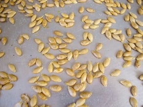 Butternut squash seeds spread across a baking sheet.