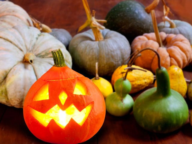 Halloween: A Foodie History - The history of Halloween food, candy sharing, carved pumpkins, and home made trick-or-treats on ToriAvey.com!