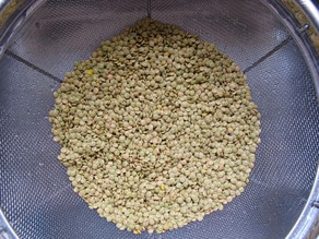 Rinsing lentils in a mesh strainer.