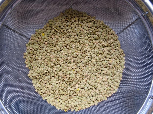Rinsing lentils in a mesh strainer.