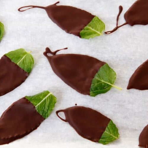 Chocolate dipped mint leaves on a parchment lined sheet.