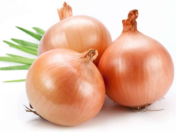 onions images