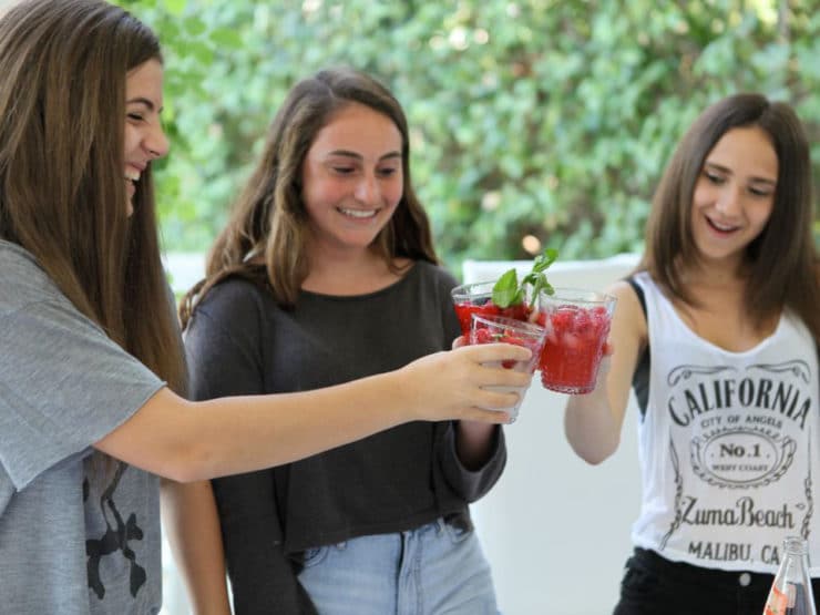 Learn how to make a Spritzer Bar using simple, natural ingredients. Have guests create their own unique and colorful spritzers with garnish!