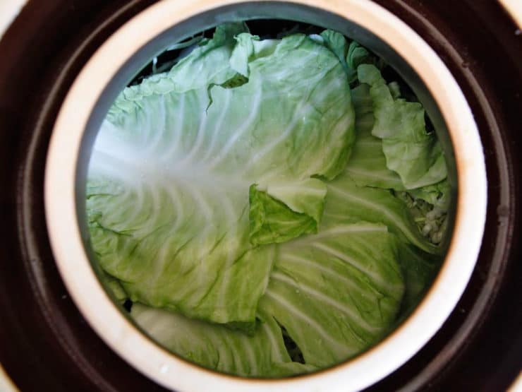 Fermentation crock overhead shot - top layer of whole cabbage leaves.