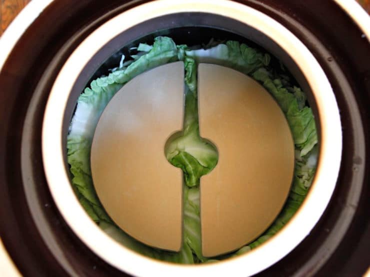 Fermentation crock overhead shot - top layer of whole cabbage leaves covered by two half disk weights.