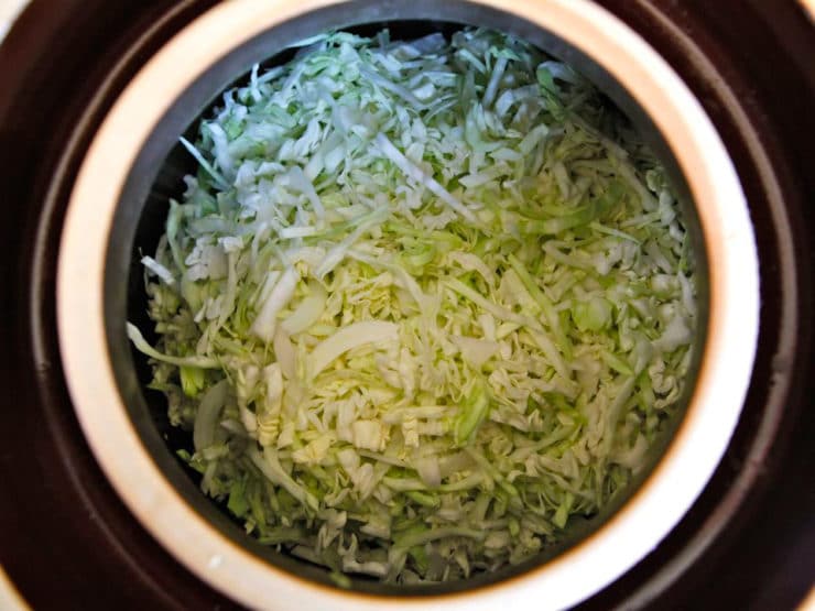 Fermentation crock overhead shot - filled with shredded cabbage.