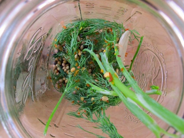 Pickling spices in jars.