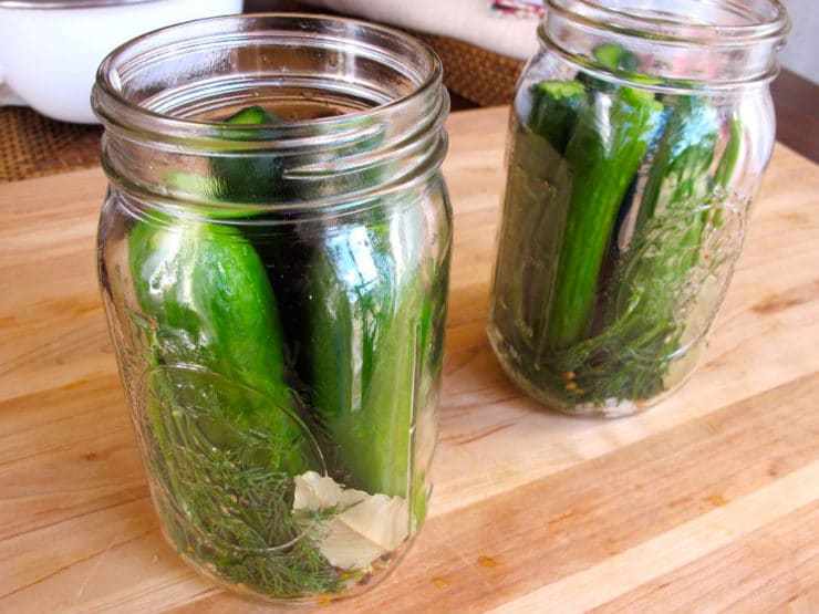 Pickling cucumbers added to jars.