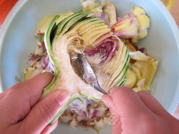 Scooping choke out of artichoke with a spoon.
