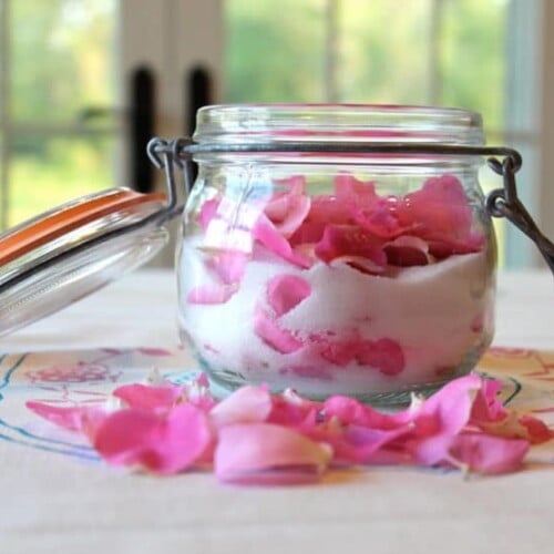 The Old Fashioned Way: Sugared Rose Petals & Rose Sugar - Learn to make old fashioned sugared rose petals and rose-infused sugar with simple, historically-inspired methods from Sharon Biggs Waller.