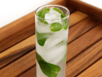 Mojito Cocktail Recipe Tori Avey,Lychee Fruit Benefits