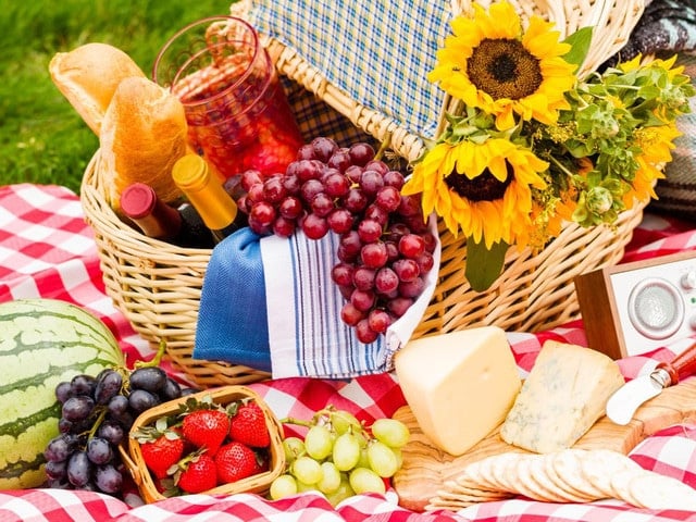 The History of Picnics & Vintage Blueberry Cake Recipe - Learn about the history of picnics and try a 1915 vintage picnic recipe for Blueberry Cake from Linda Hull Larned.