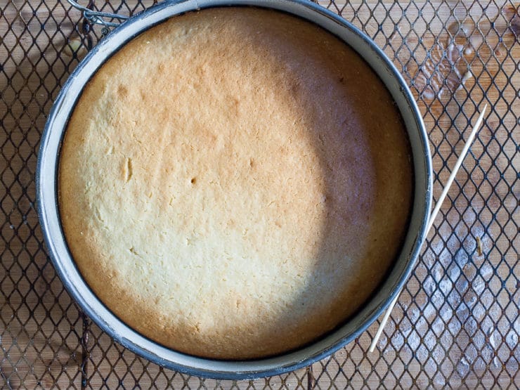 Baked cake in a springform pan.