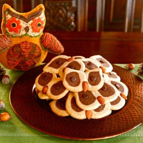 Hoot Owl Cookies - A vintage-inspired recipe using checkerboard sugar cookie dough, chocolate chips & almonds. Simple and cute!