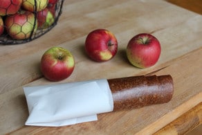 Homemade apple fruit leather.