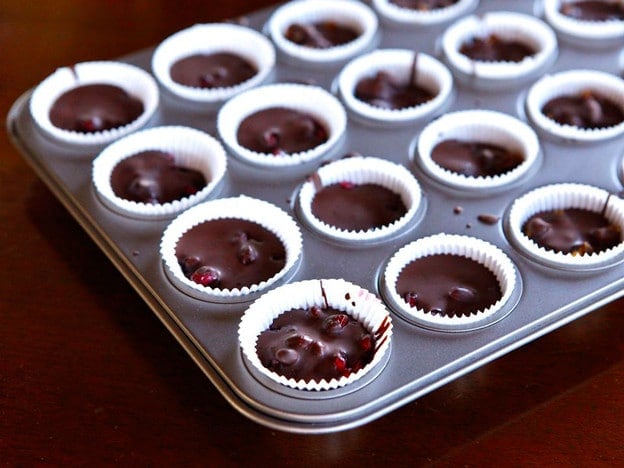 Dark Chocolate Fruit Candies with Pomegranates, Figs and Dates - Sweet Natural Treats
