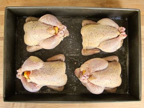 Cornish hens trussed and seasoned in a roasting pan.