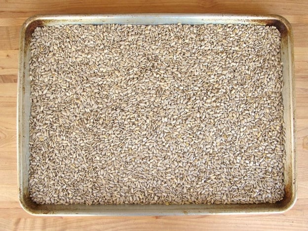 Sunflower seeds spread on a baking sheet to toast.