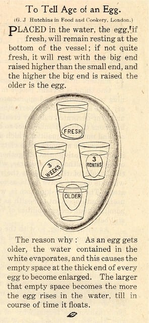 Rhubarb Marmalade - A vintage recipe for rhubarb marmalade, a delicious twist on sweet marmalade jam with step-by-step photos from Cooking Club, April 1907.