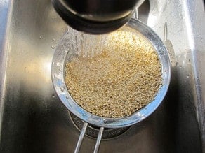 Rinsing dry quinoa.