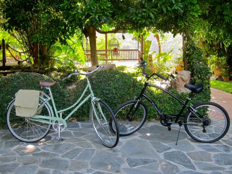 My New Biking Obsession - I got a bike! All about my new biking obsession. Pics of our new Linus Dutchi and Electra Townie bikes and Thule T2 rack.